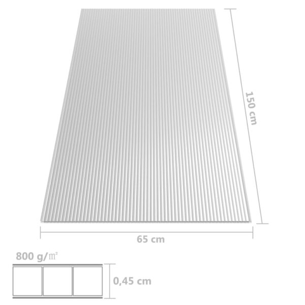 Buum24 polükarbonaadi lehed 2 tk, 4,5 mm, 150 x 65 cm